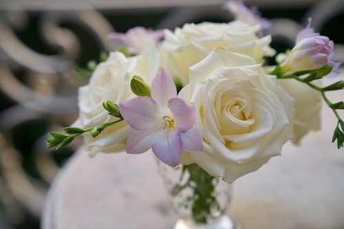 WeddingLikeYou